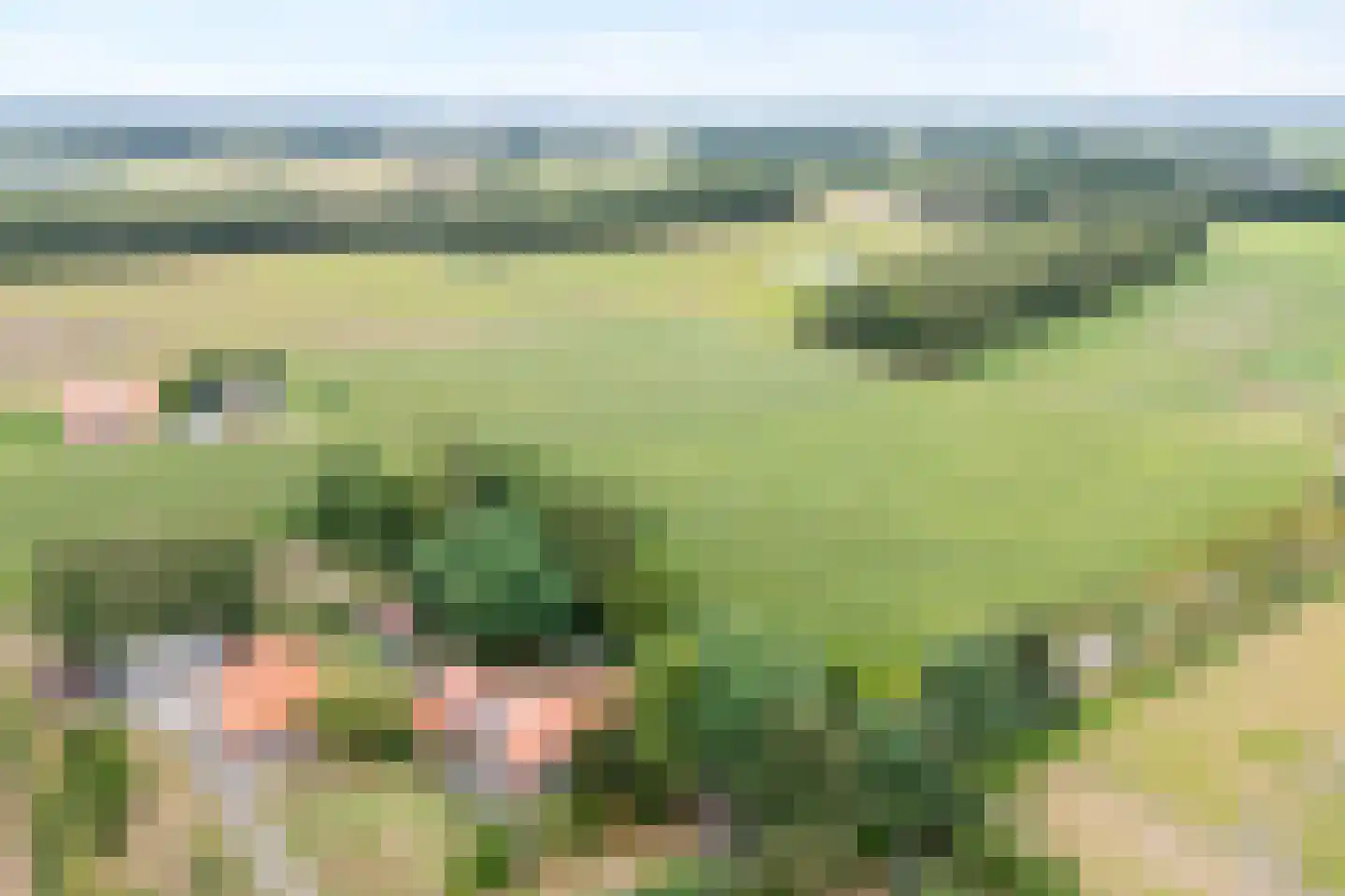 Dwarsweg 3 Bruchterveld thumbnail 13