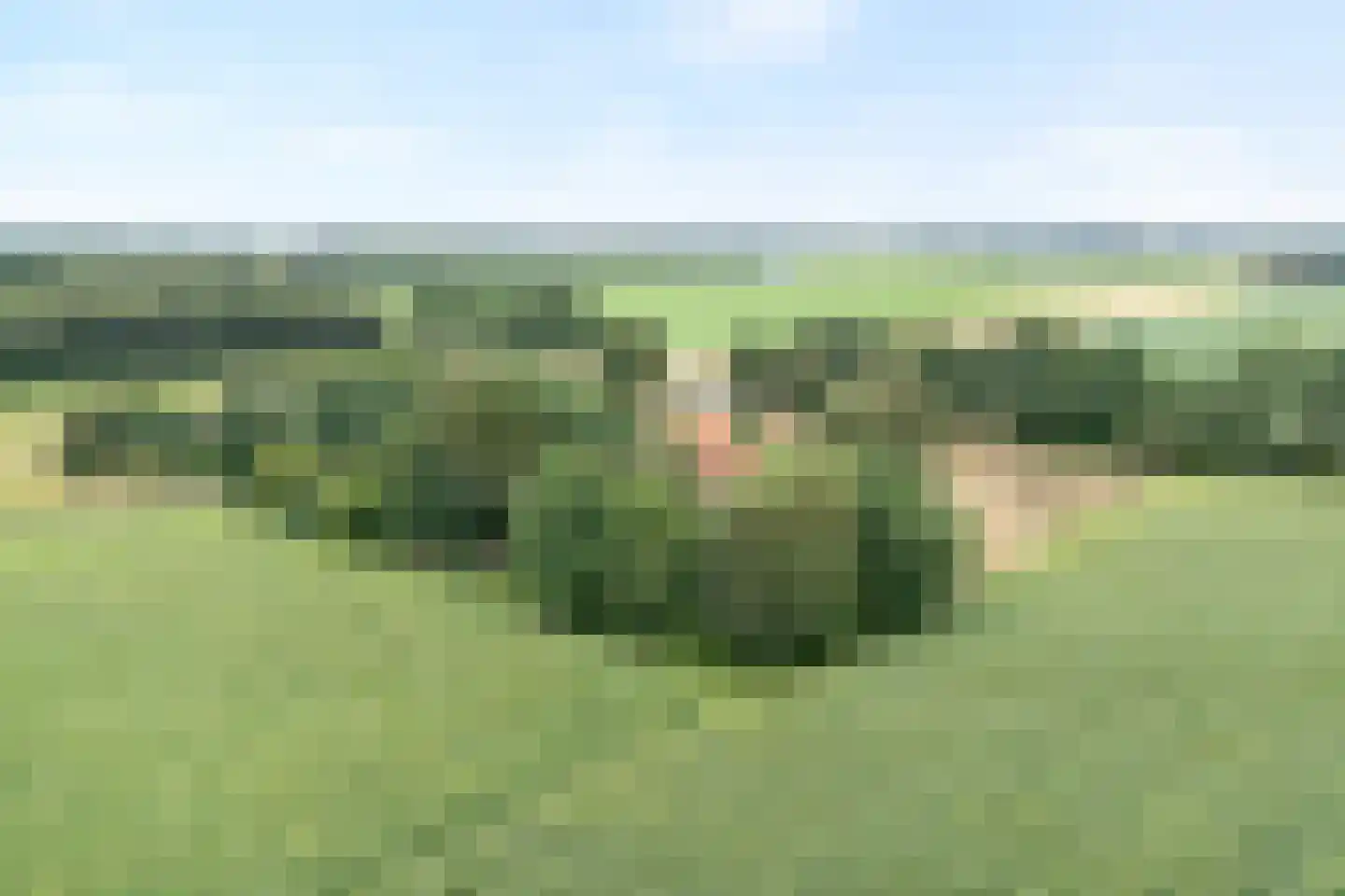Dwarsweg 3 Bruchterveld thumbnail 14