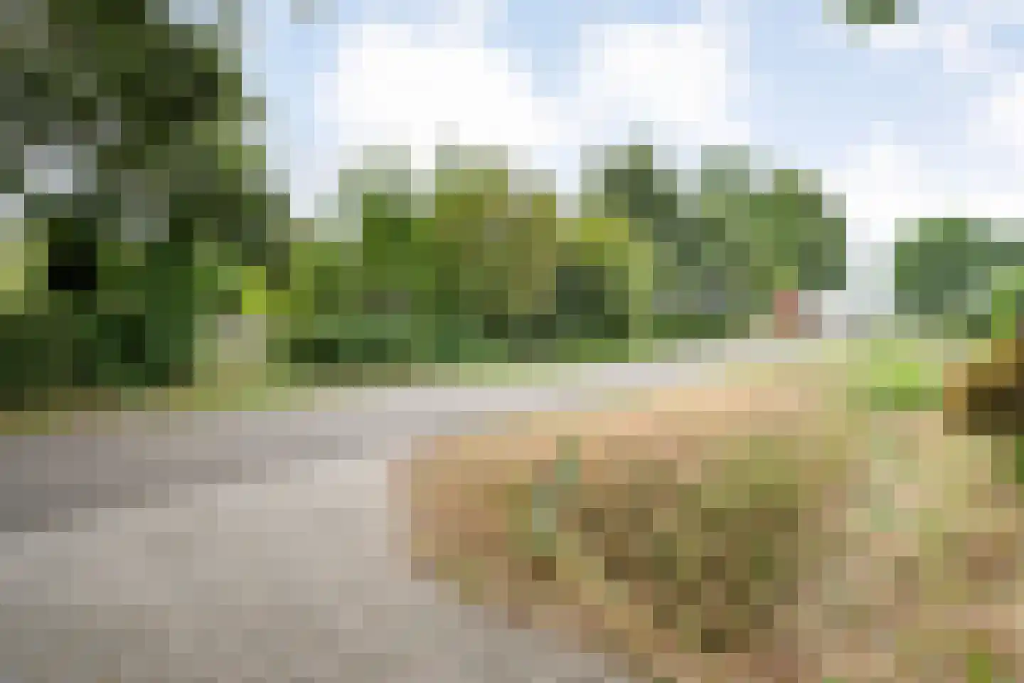 Dwarsweg 3 Bruchterveld thumbnail 17