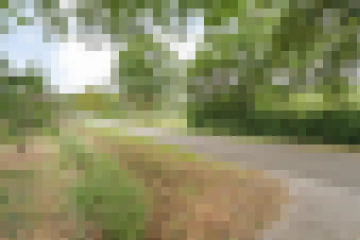 Dwarsweg 3 Bruchterveld thumbnail 18