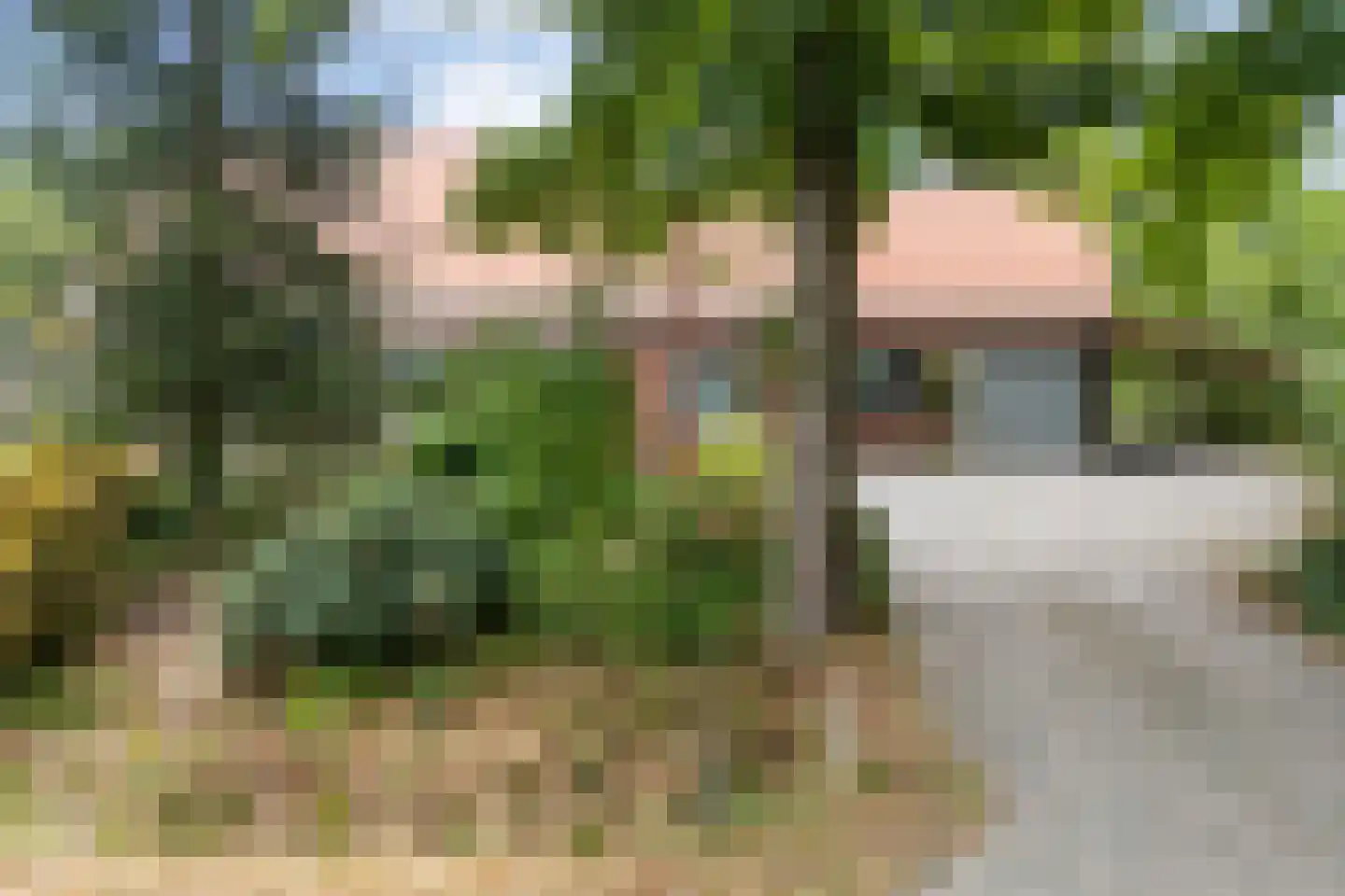 Dwarsweg 3 Bruchterveld thumbnail 19