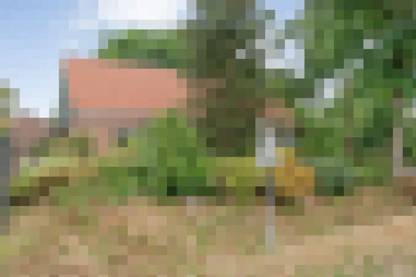 Dwarsweg 3 Bruchterveld thumbnail 20