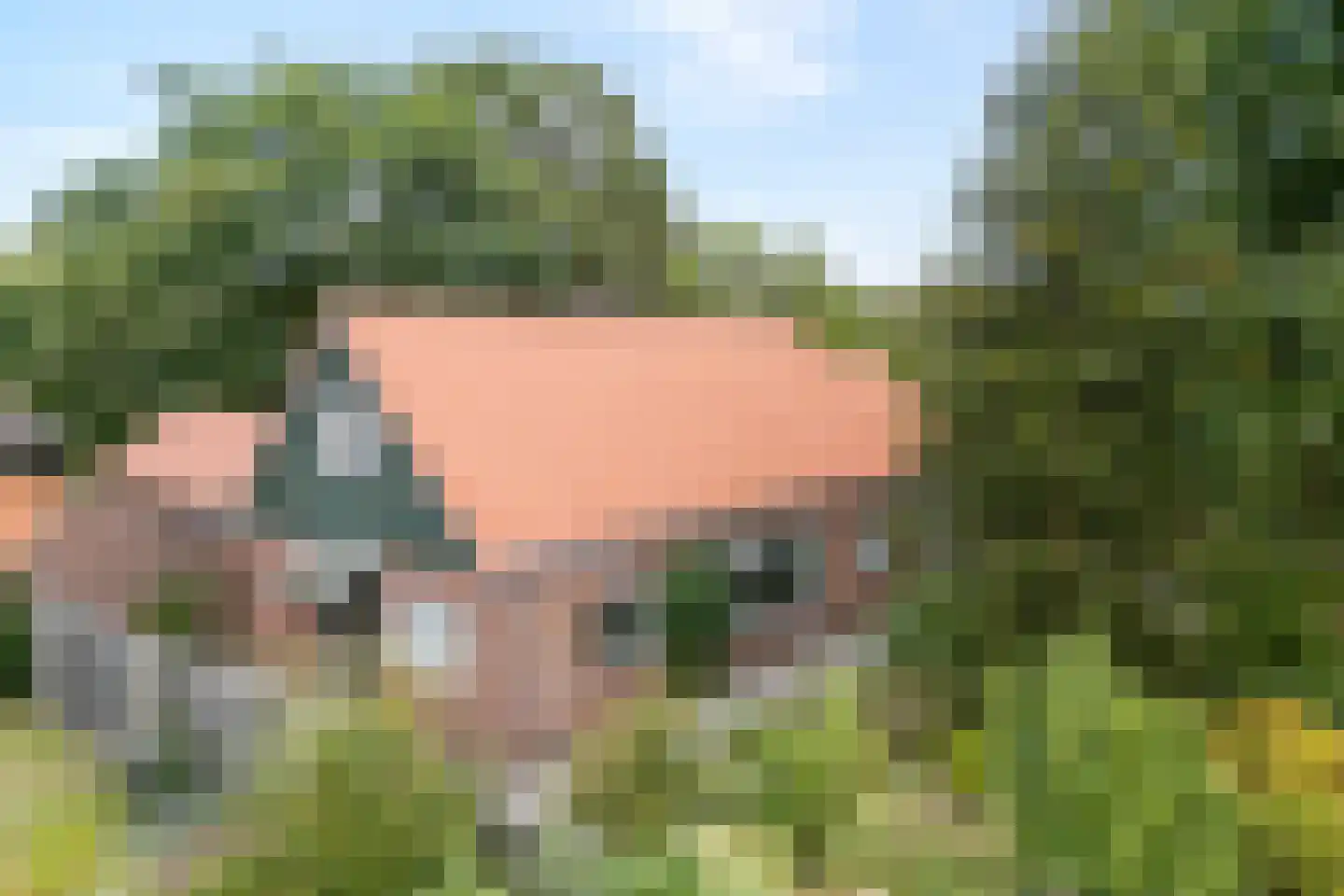 Dwarsweg 3 Bruchterveld thumbnail 4