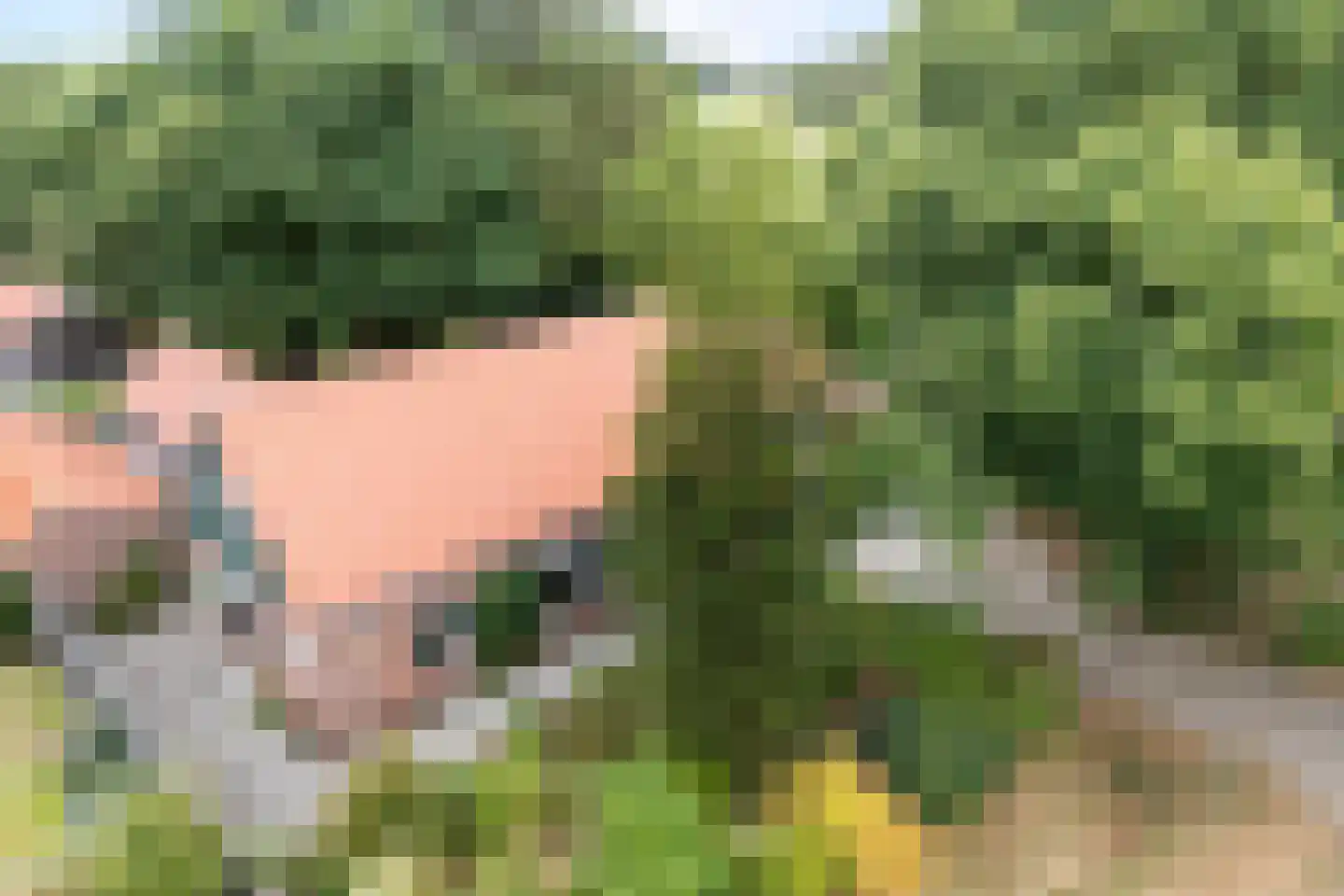 Dwarsweg 3 Bruchterveld thumbnail 5