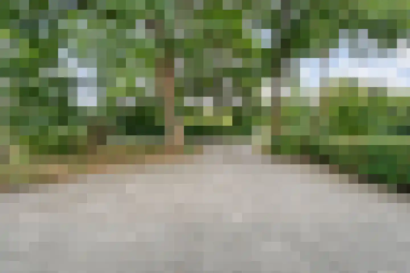 Dwarsweg 3 Bruchterveld thumbnail 53