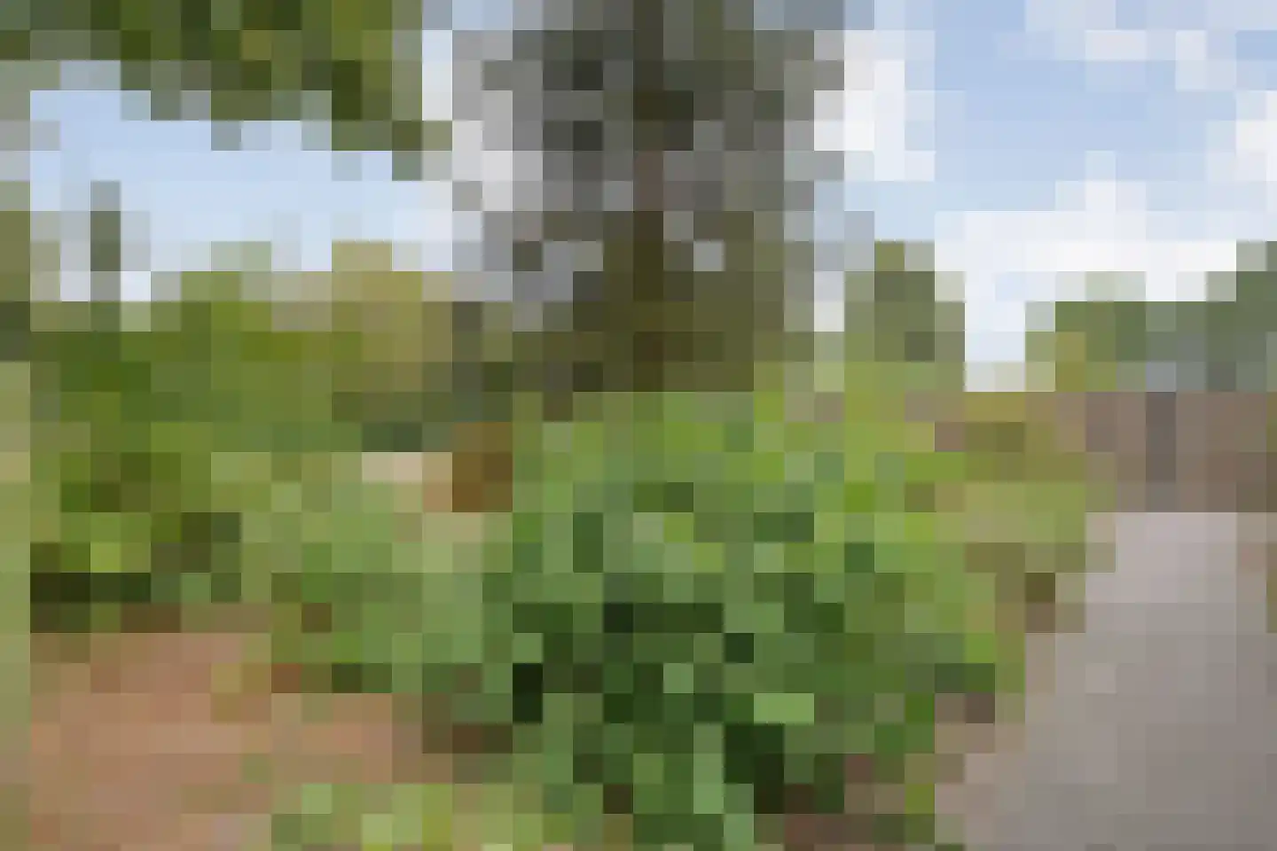 Dwarsweg 3 Bruchterveld thumbnail 54