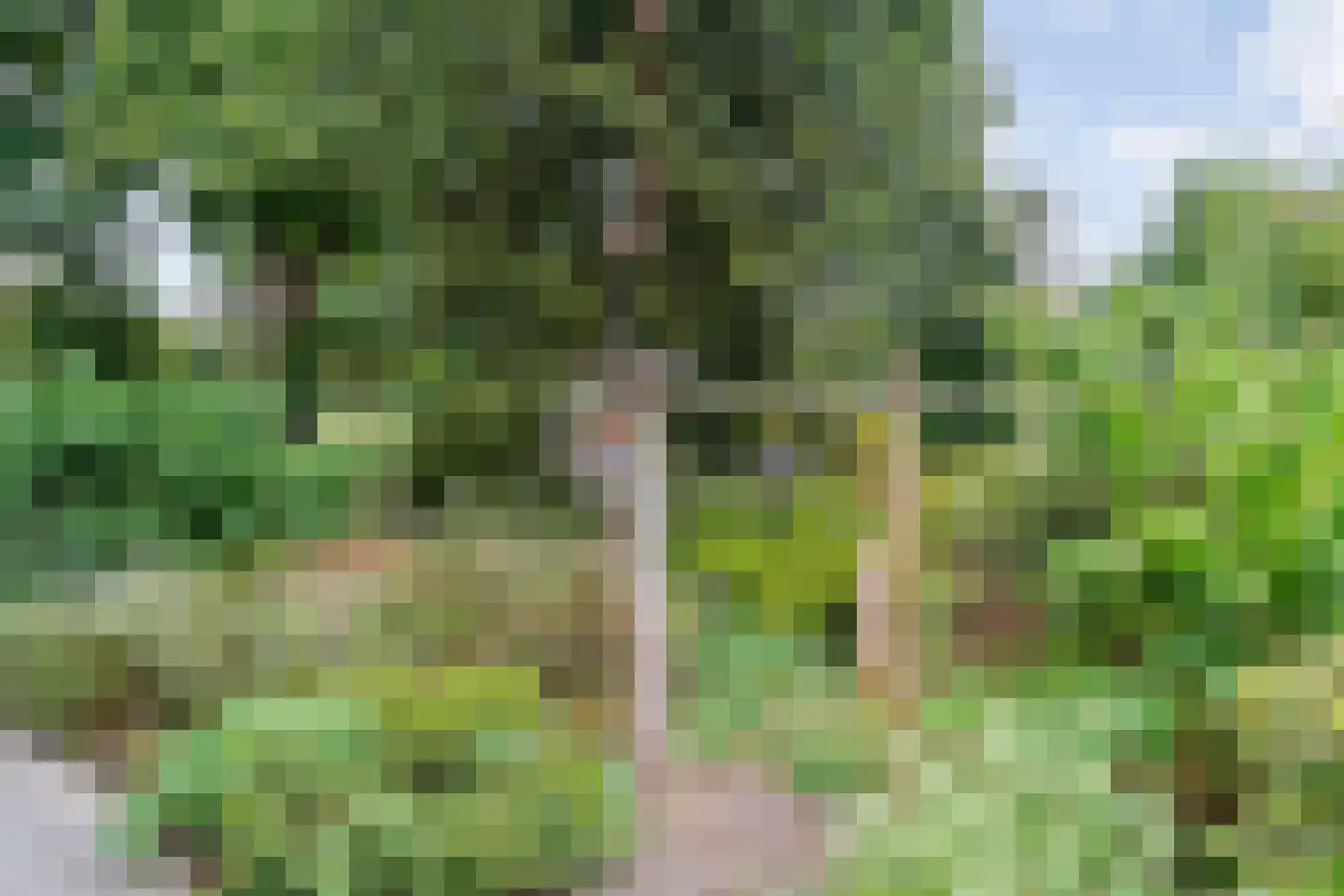 Dwarsweg 3 Bruchterveld thumbnail 55