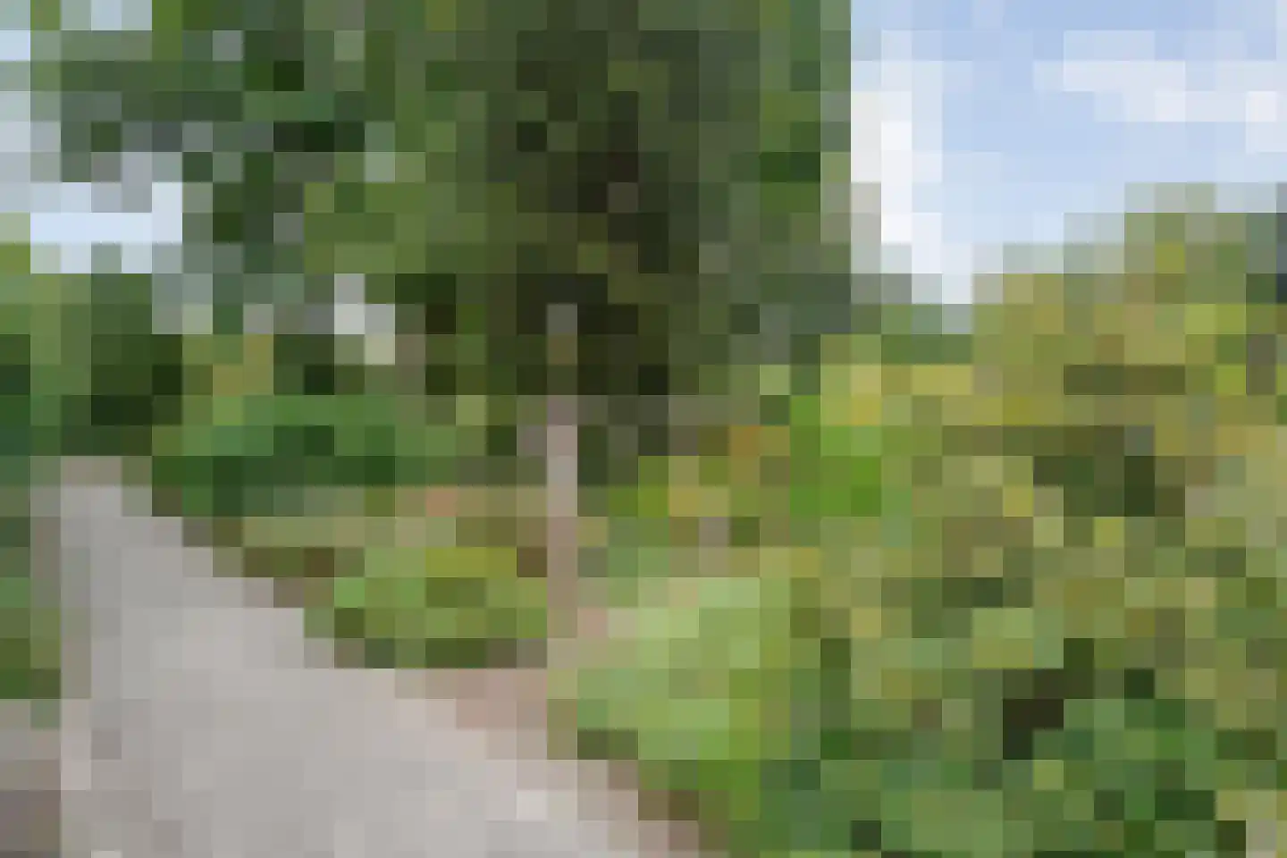 Dwarsweg 3 Bruchterveld thumbnail 56