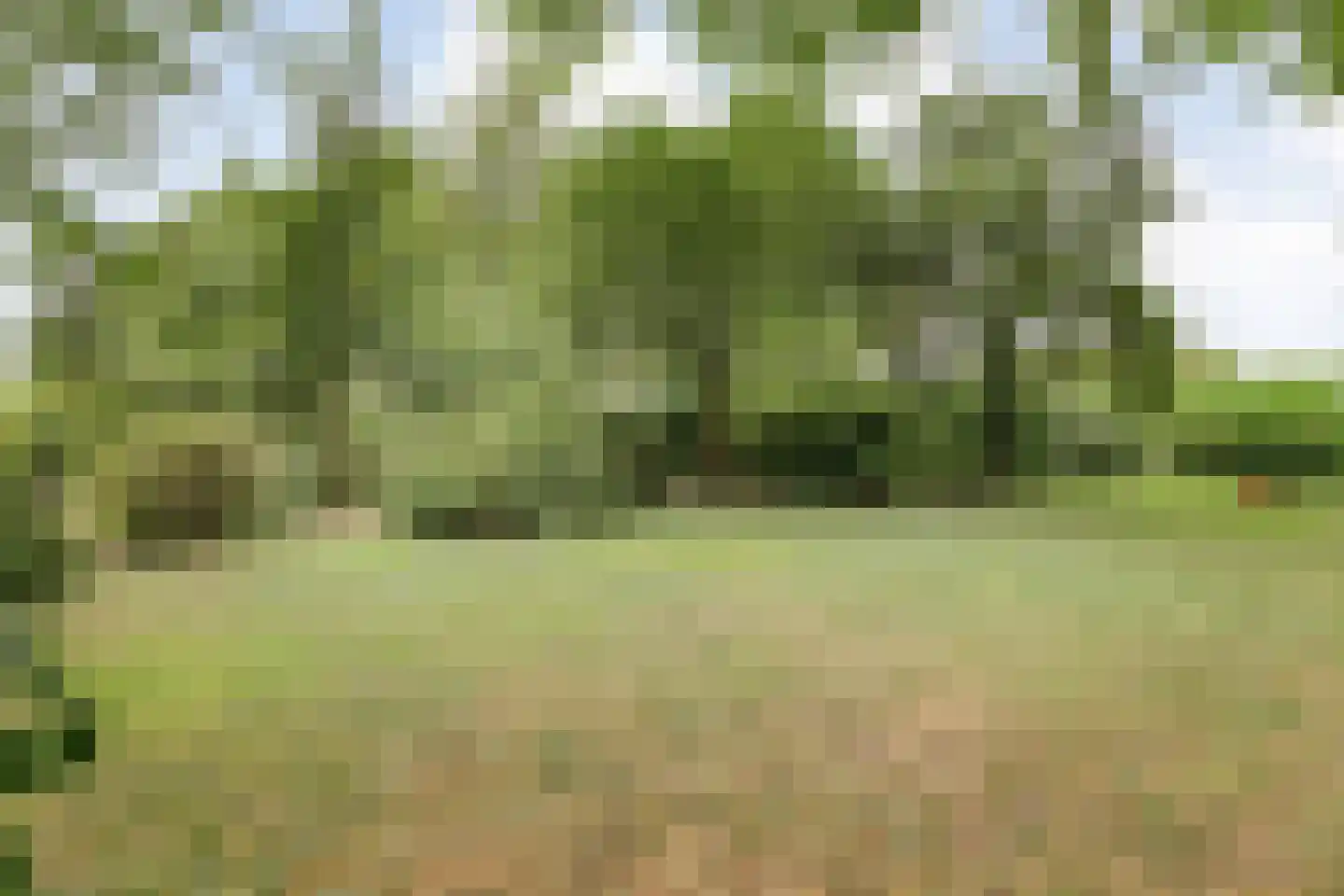 Dwarsweg 3 Bruchterveld thumbnail 6