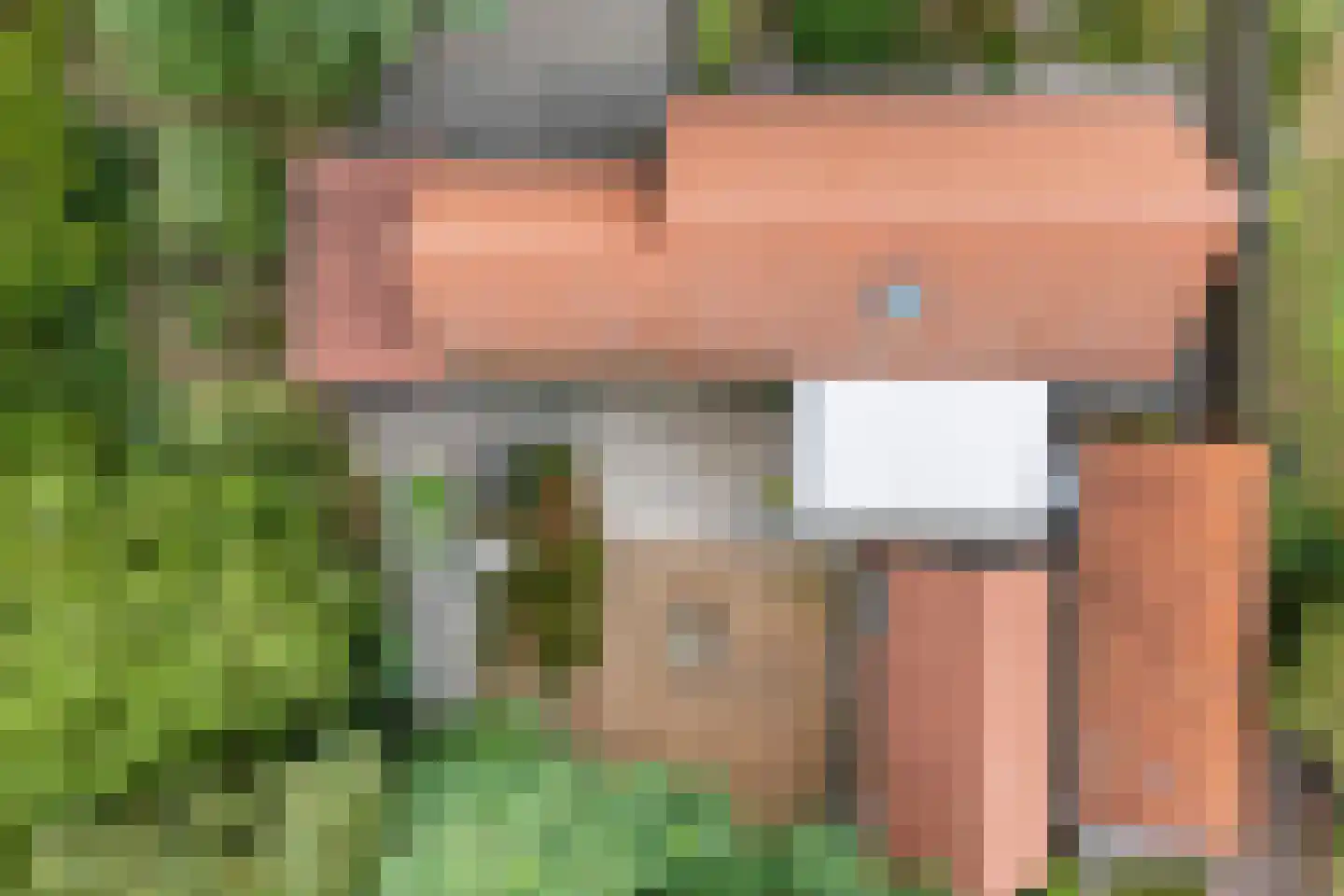 Dwarsweg 3 Bruchterveld thumbnail 6