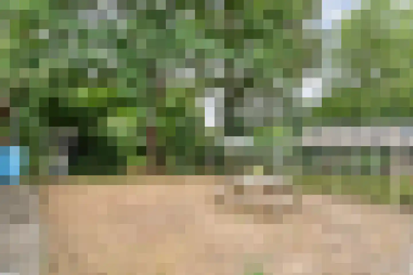 Dwarsweg 3 Bruchterveld thumbnail 60