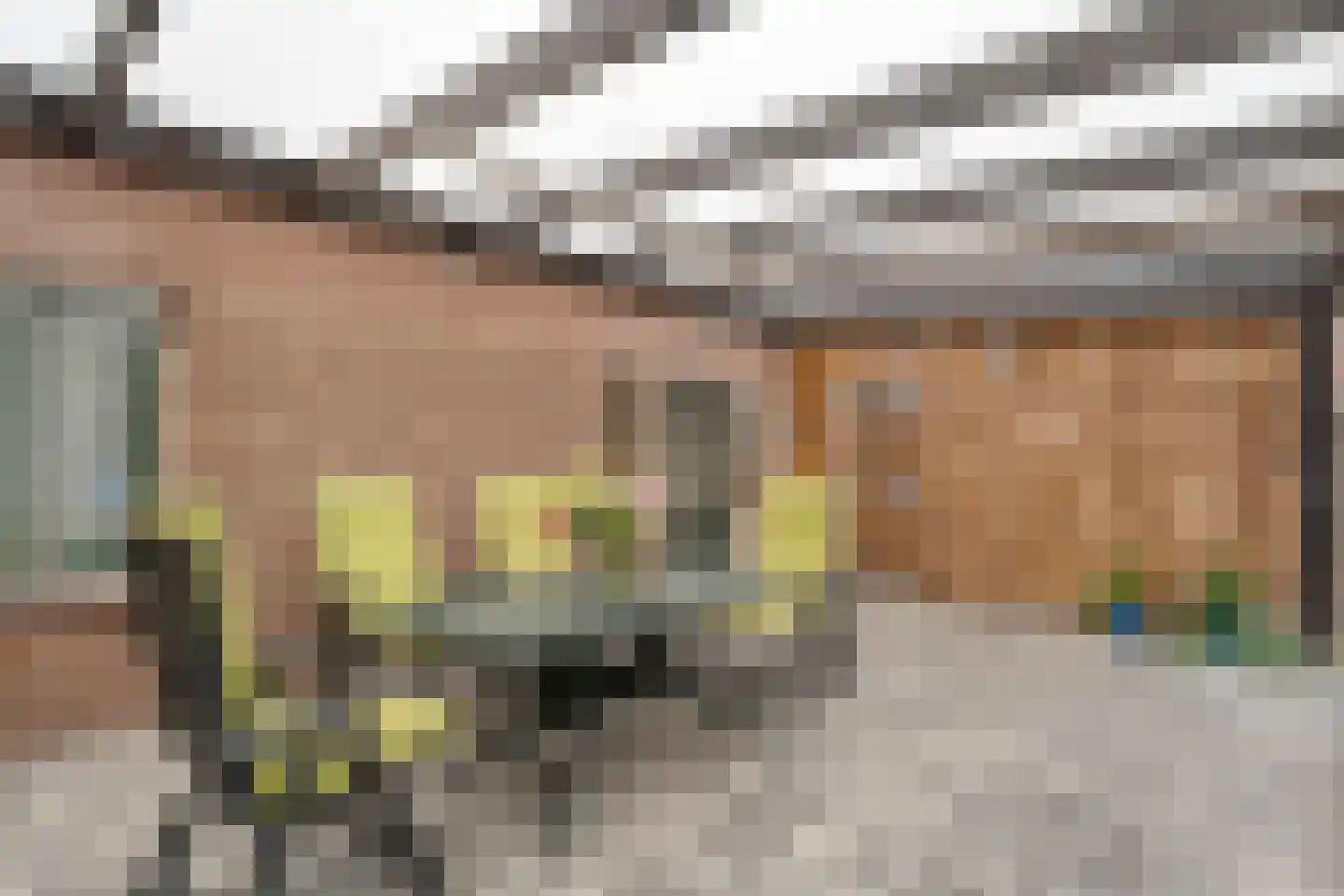 Dwarsweg 3 Bruchterveld thumbnail 61