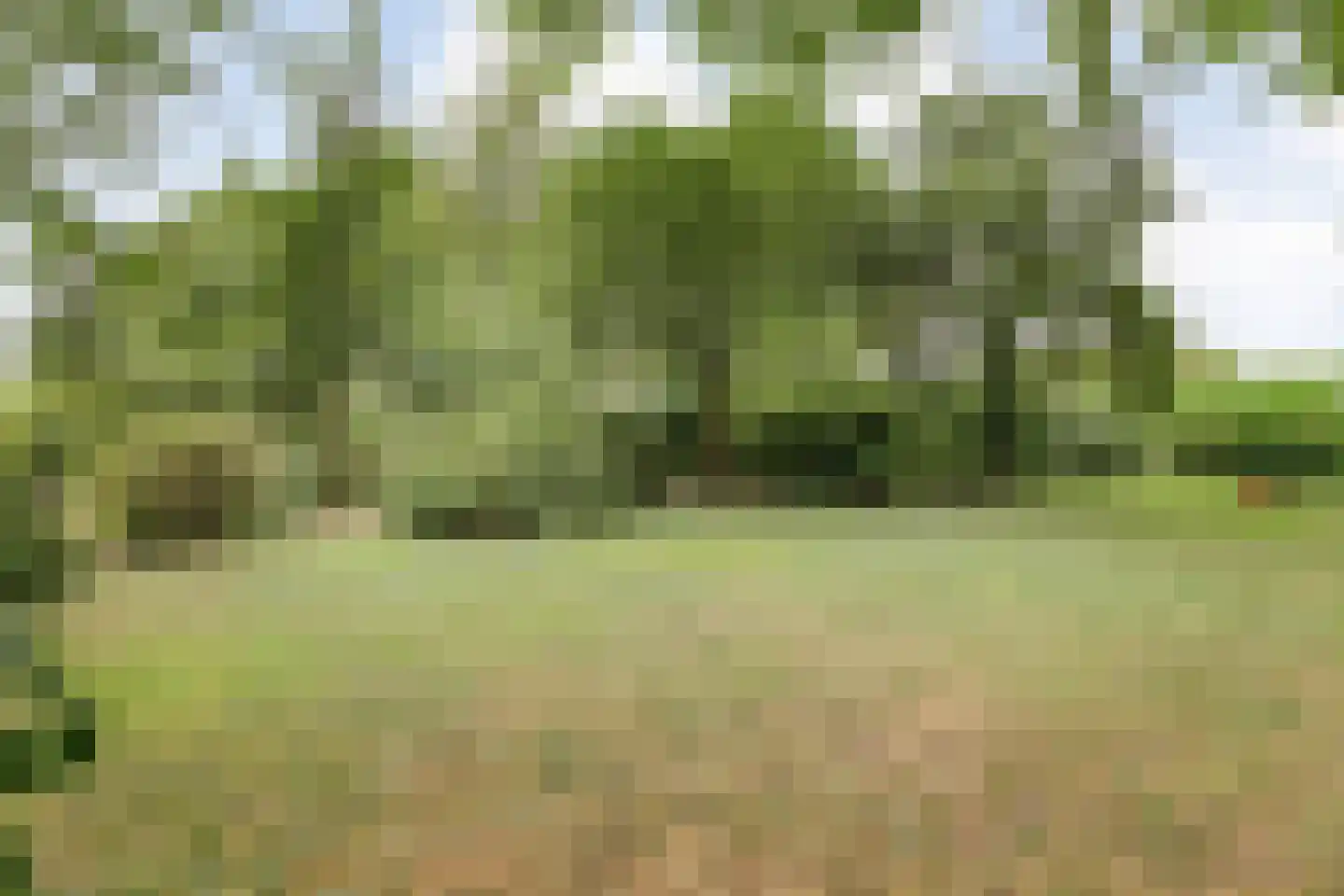 Dwarsweg 3 Bruchterveld thumbnail 66