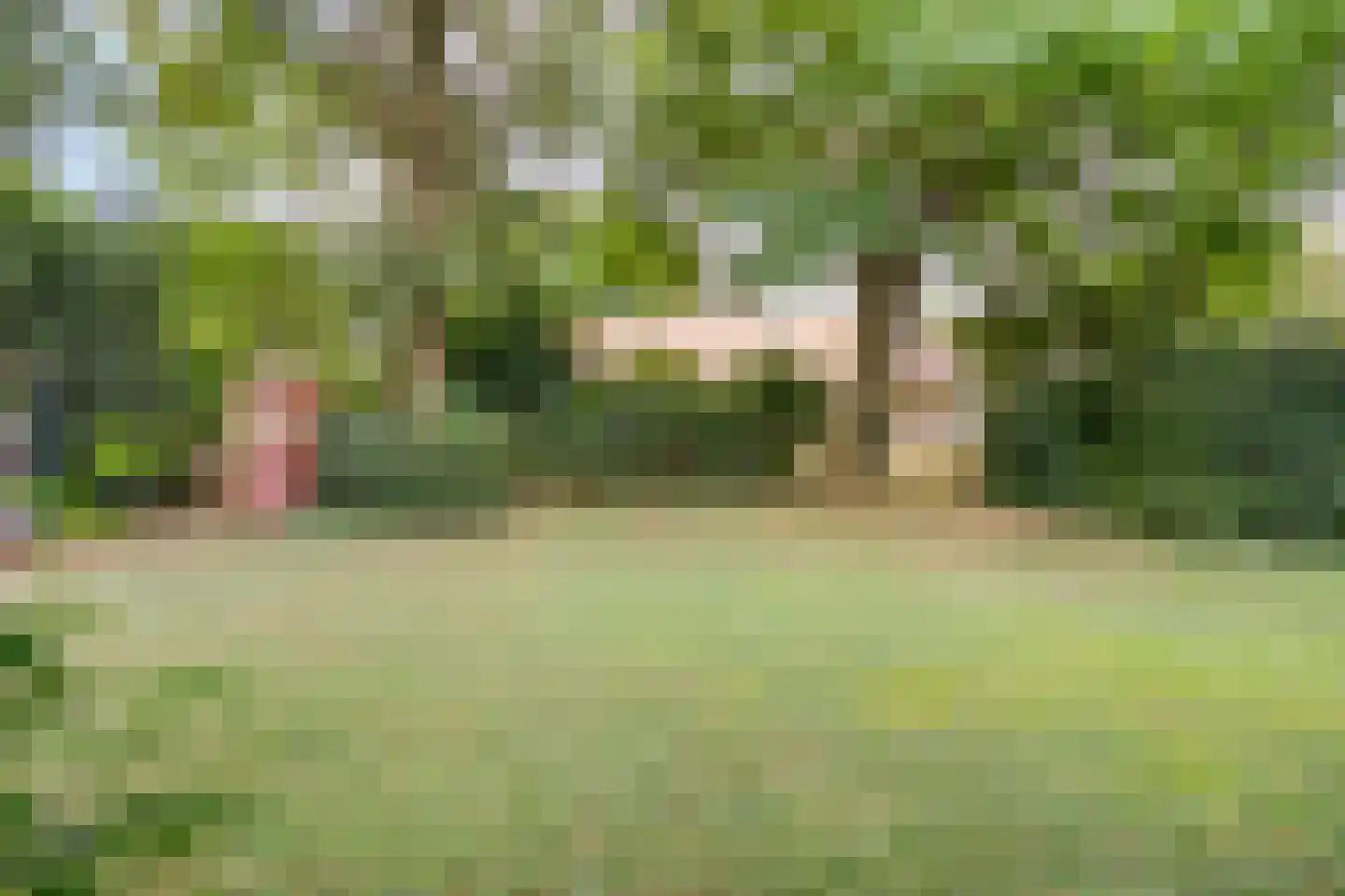 Dwarsweg 3 Bruchterveld thumbnail 67