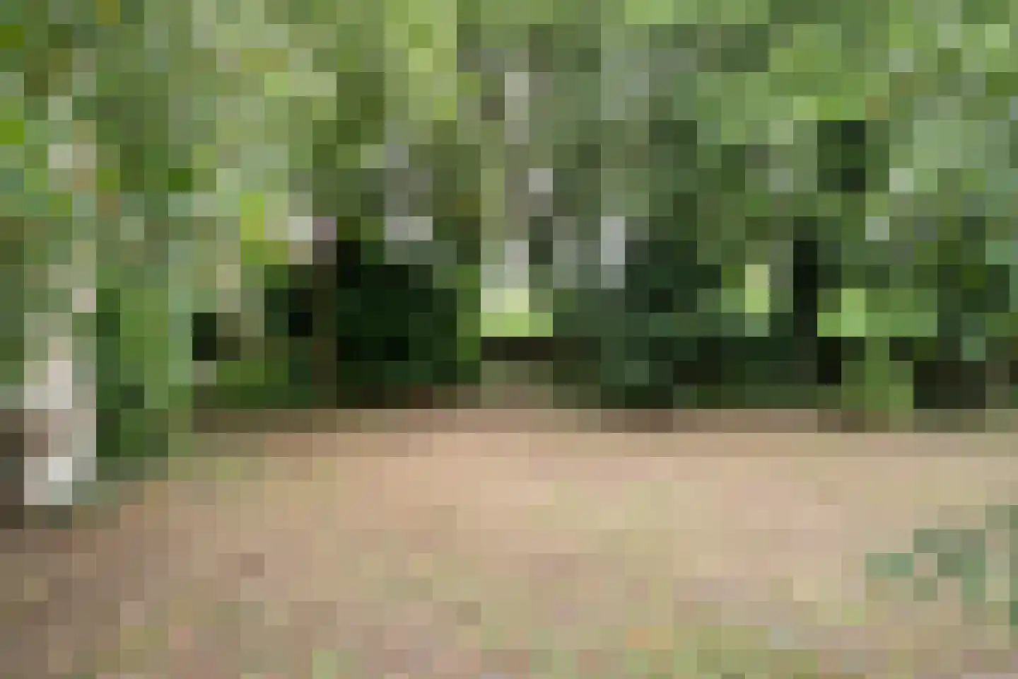 Dwarsweg 3 Bruchterveld thumbnail 68