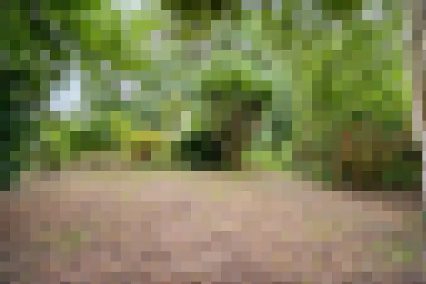 Dwarsweg 3 Bruchterveld thumbnail 69