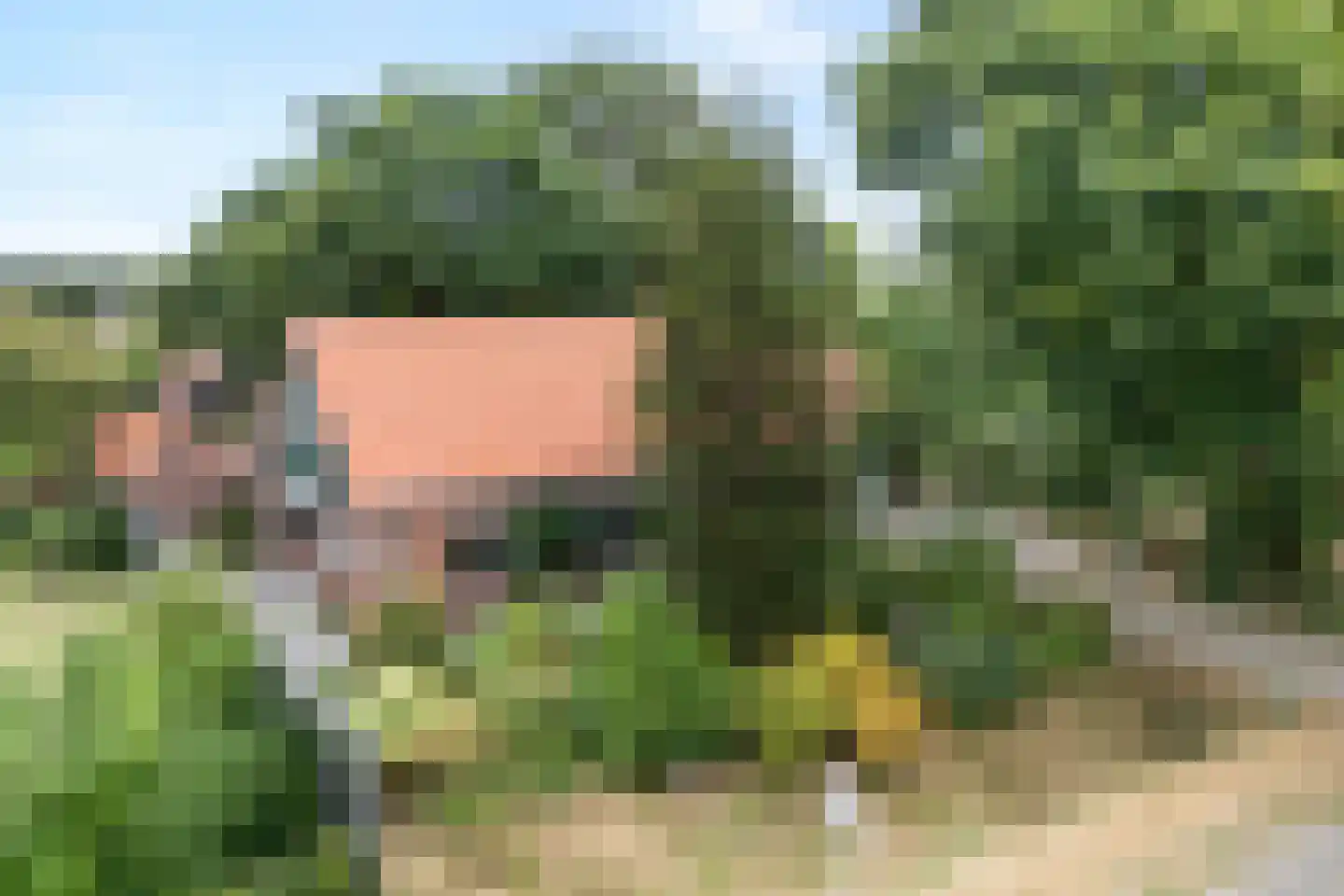 Dwarsweg 3 Bruchterveld thumbnail 7