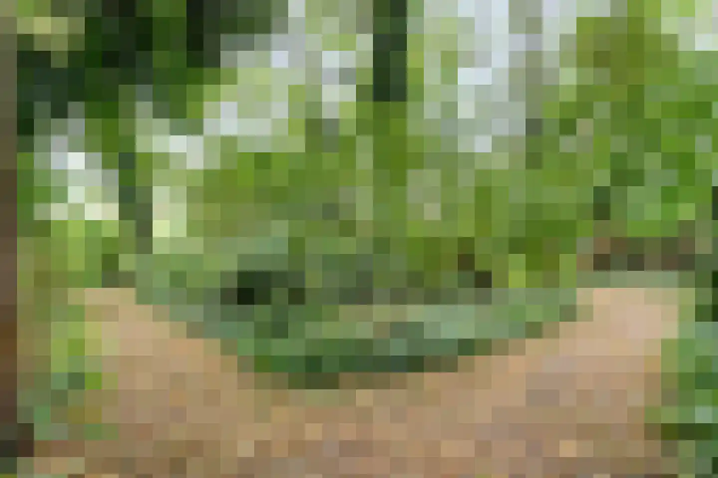 Dwarsweg 3 Bruchterveld thumbnail 70