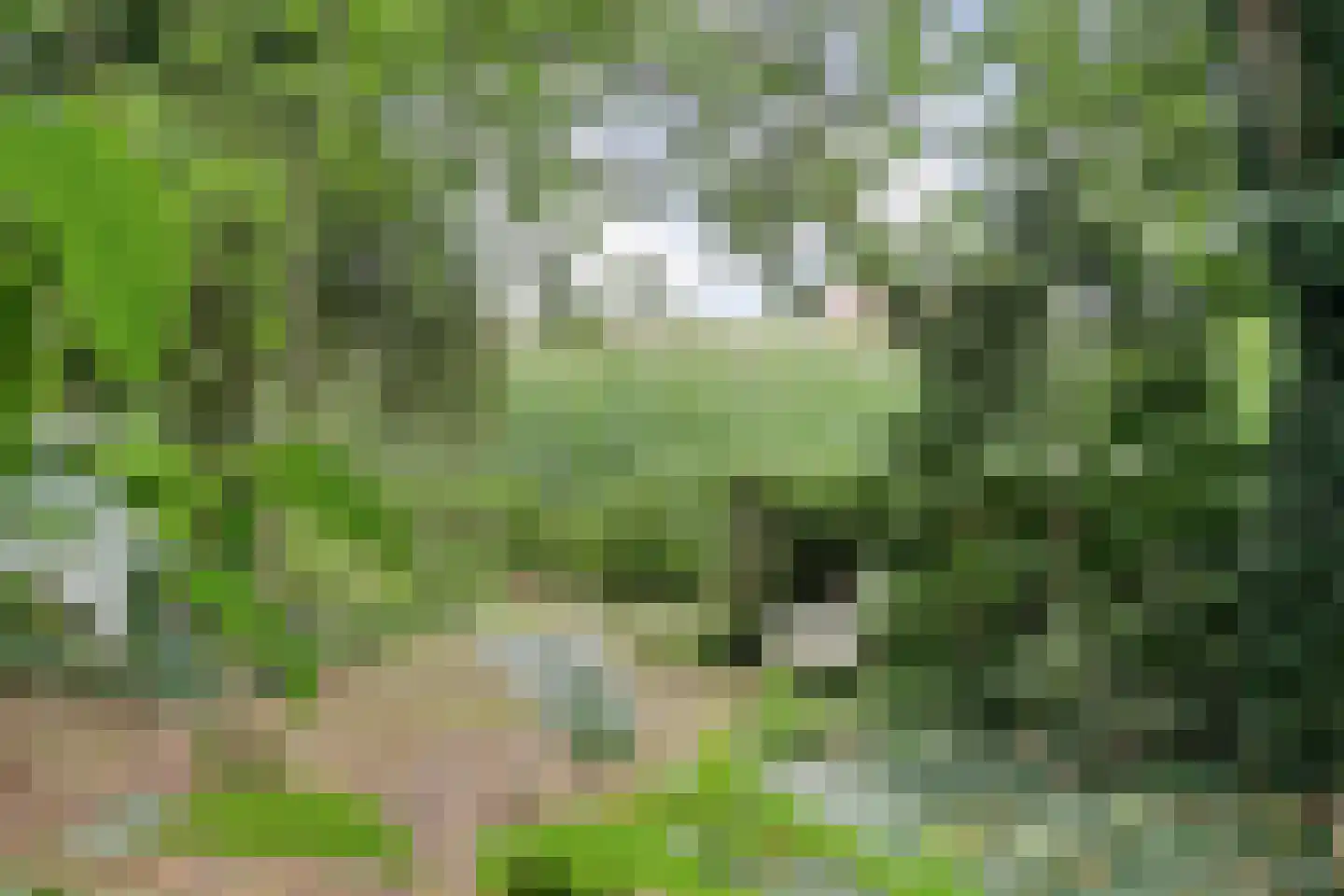 Dwarsweg 3 Bruchterveld thumbnail 71