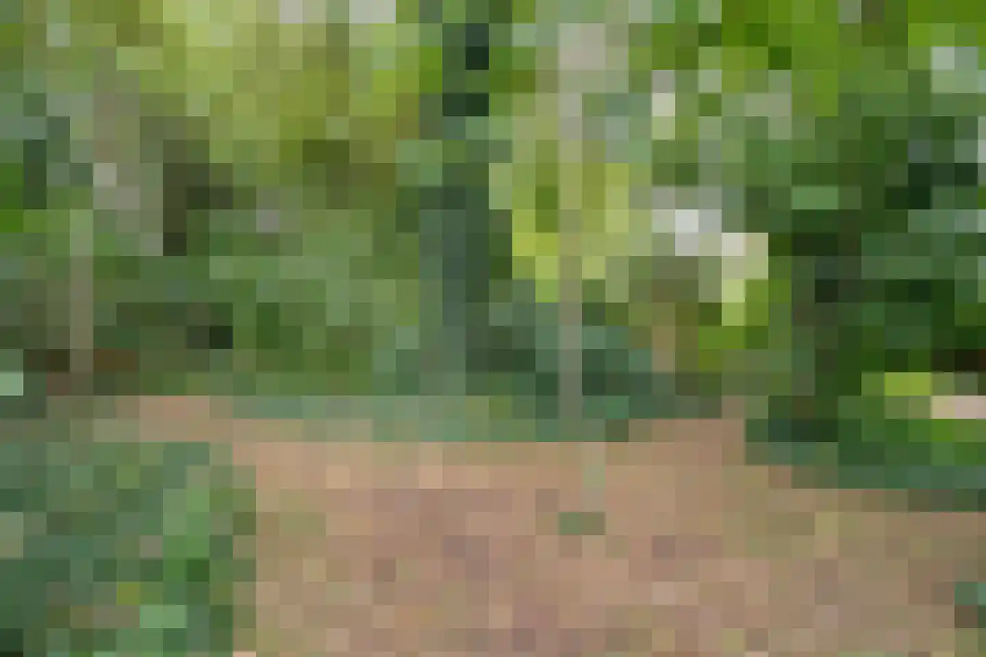 Dwarsweg 3 Bruchterveld thumbnail 72