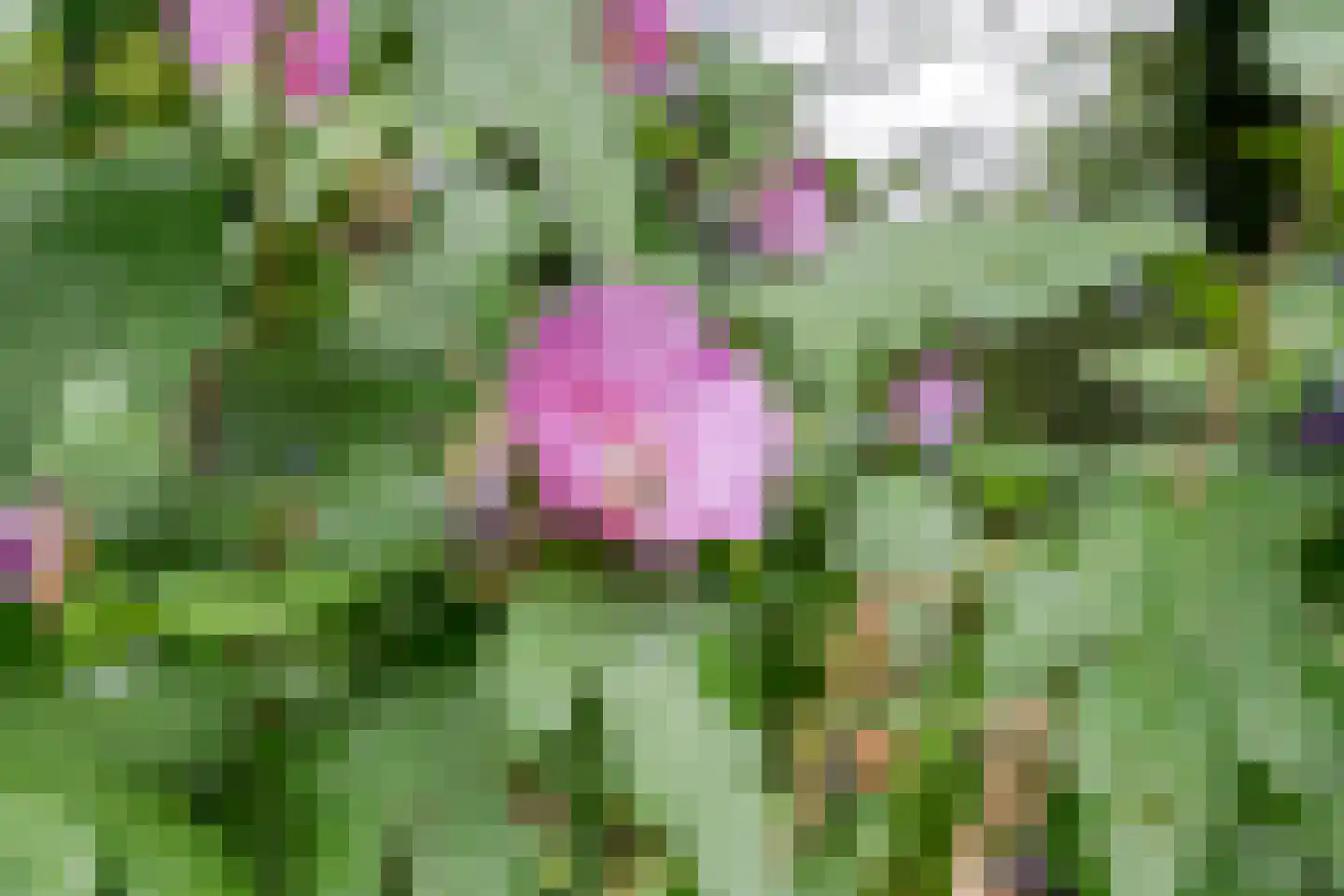 Dwarsweg 3 Bruchterveld thumbnail 73