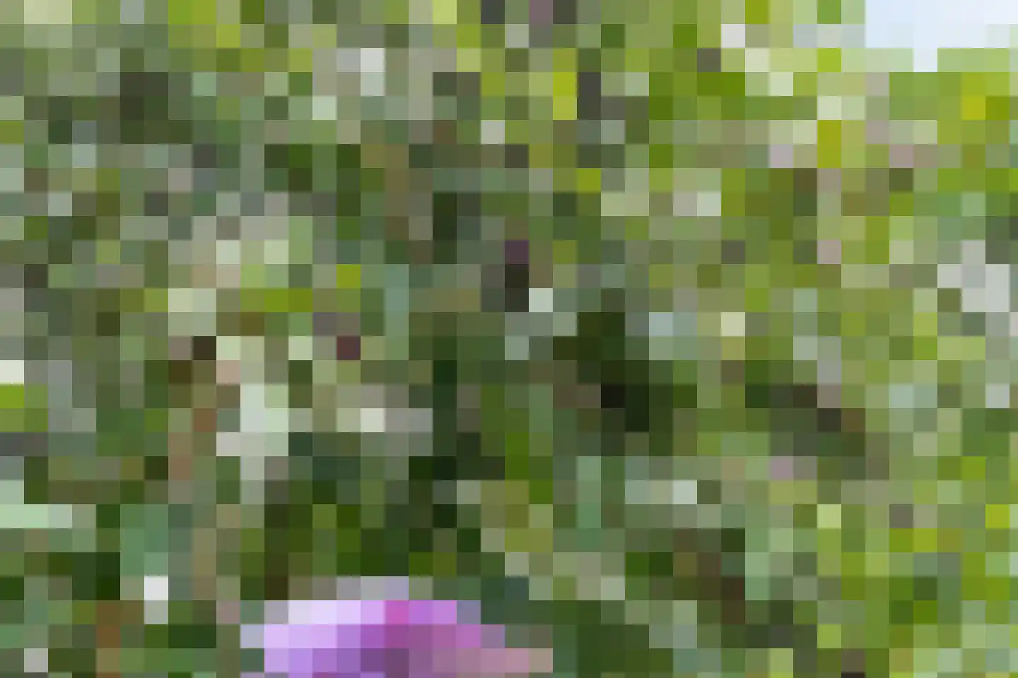 Dwarsweg 3 Bruchterveld thumbnail 74