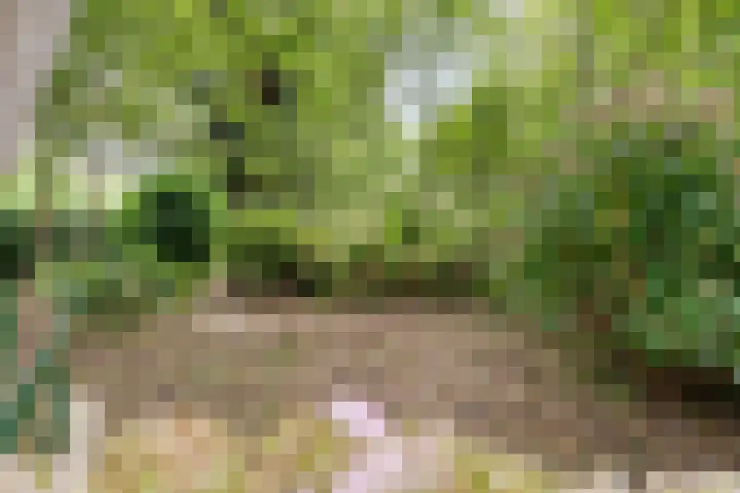 Dwarsweg 3 Bruchterveld thumbnail 76