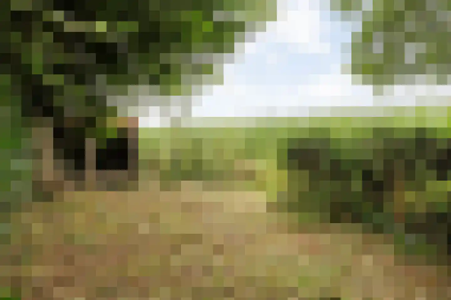 Dwarsweg 3 Bruchterveld thumbnail 77