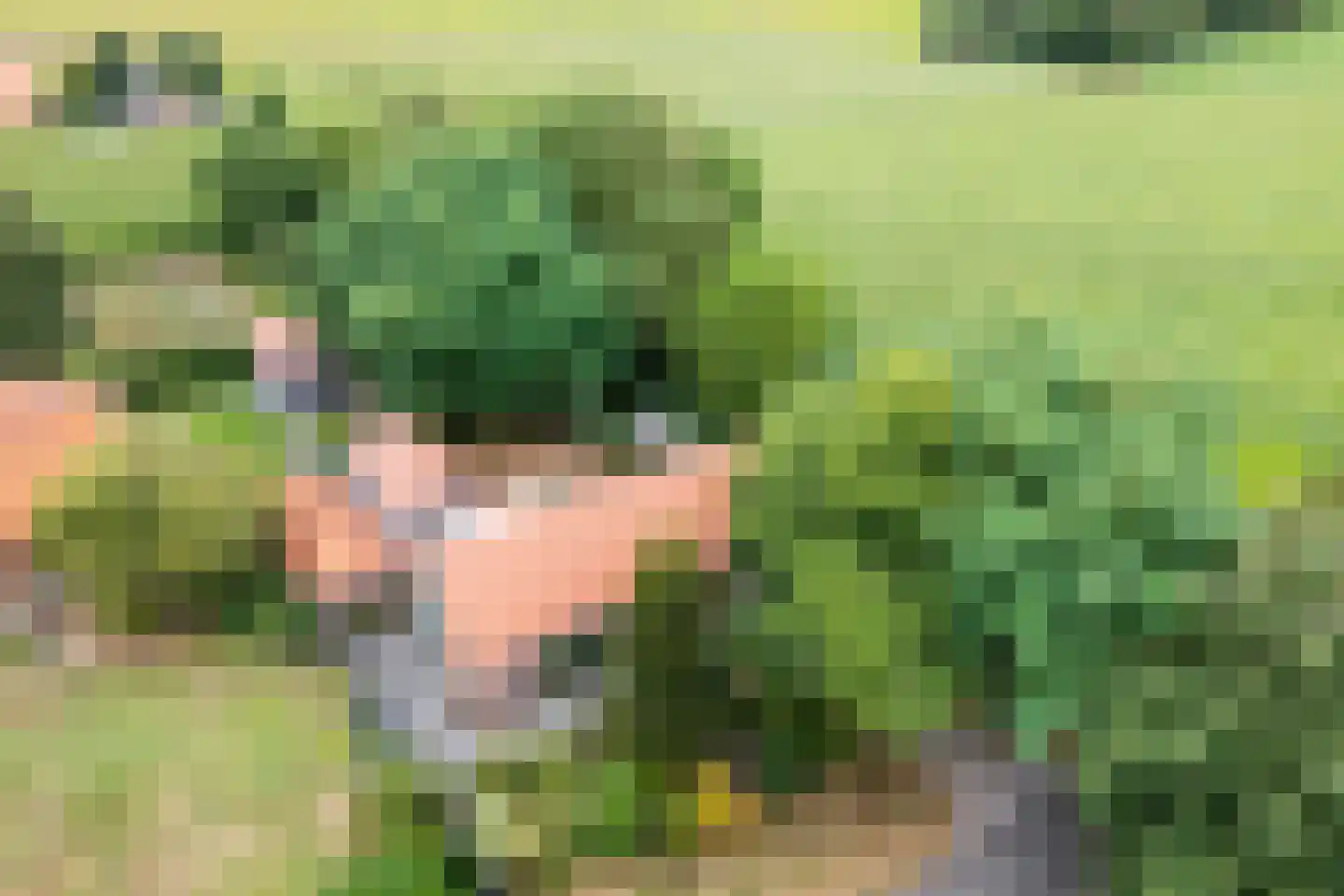 Dwarsweg 3 Bruchterveld thumbnail 8