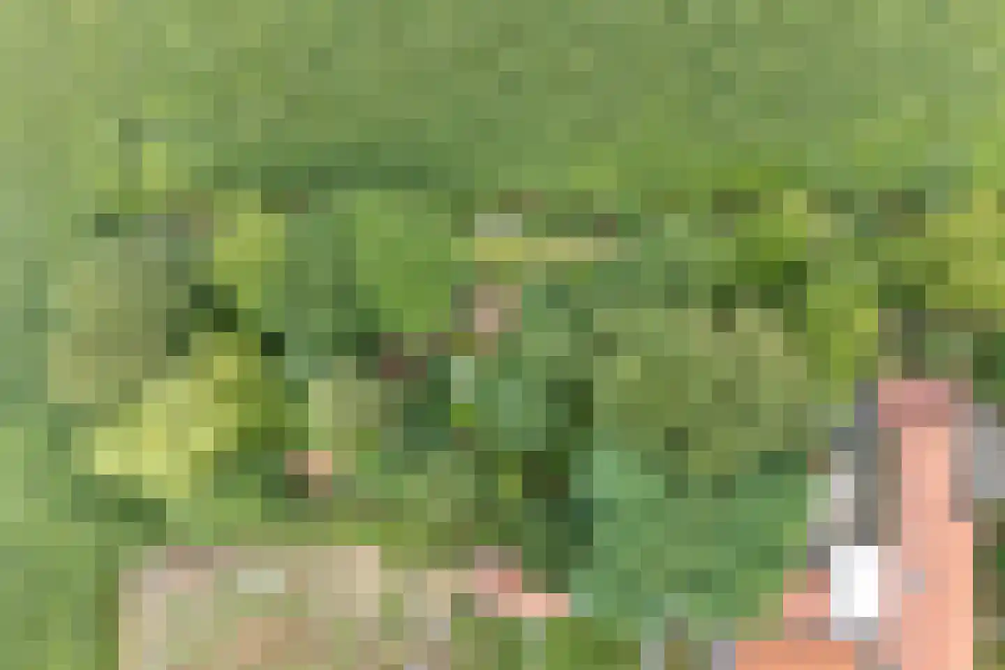 Dwarsweg 3 Bruchterveld thumbnail 9