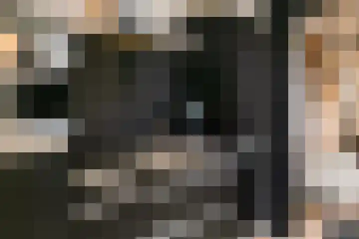 Dwarsweg 3 Maarssen thumbnail 13