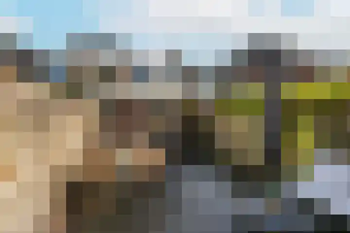 Dwarsweg 3 Maarssen thumbnail 25