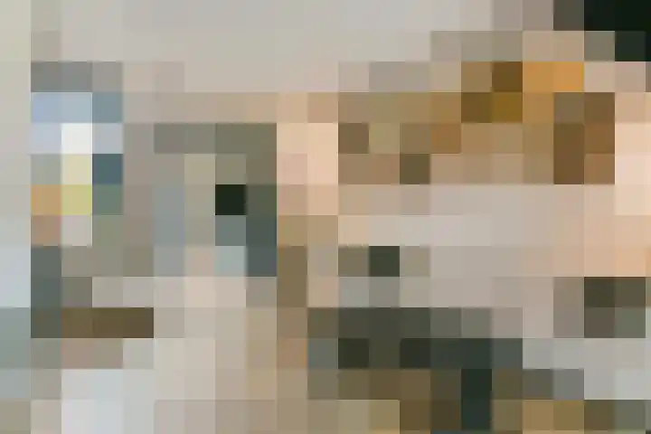 Dwarsweg 3 Maarssen thumbnail 8