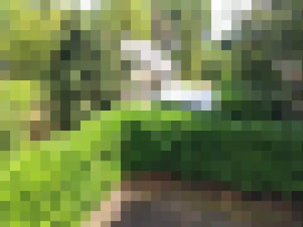 Dwarsweg 3 Overberg thumbnail 19