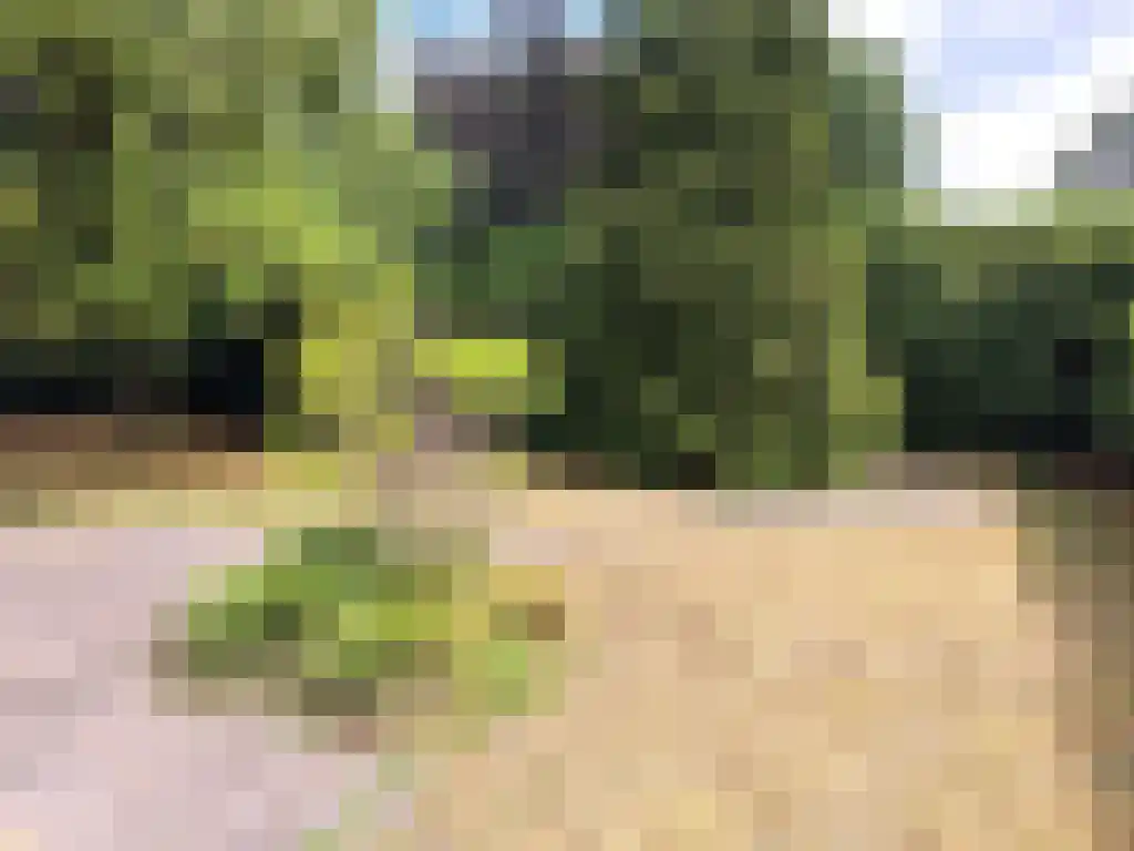 Dwarsweg 3 Overberg thumbnail 20