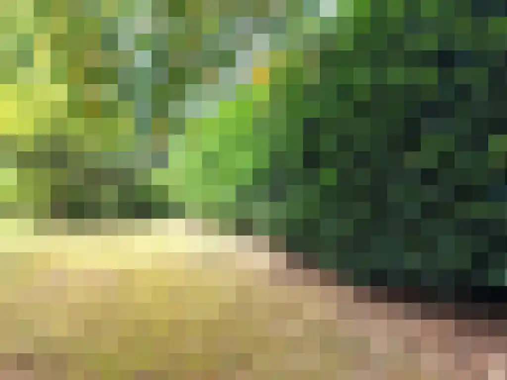 Dwarsweg 3 Overberg thumbnail 22