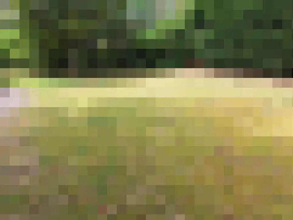 Dwarsweg 3 Overberg thumbnail 23
