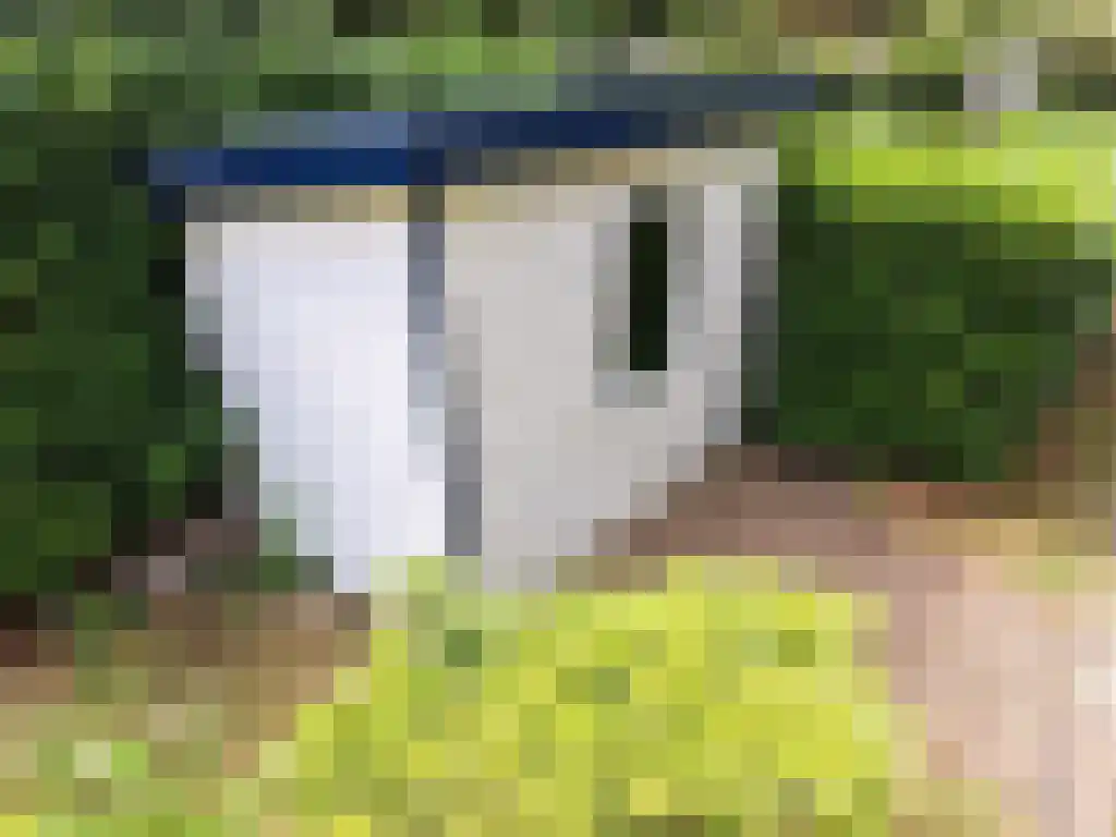 Dwarsweg 3 Overberg thumbnail 24