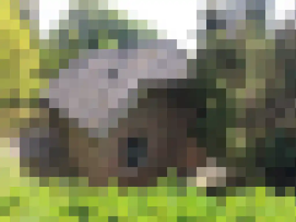 Dwarsweg 3 Overberg thumbnail 6