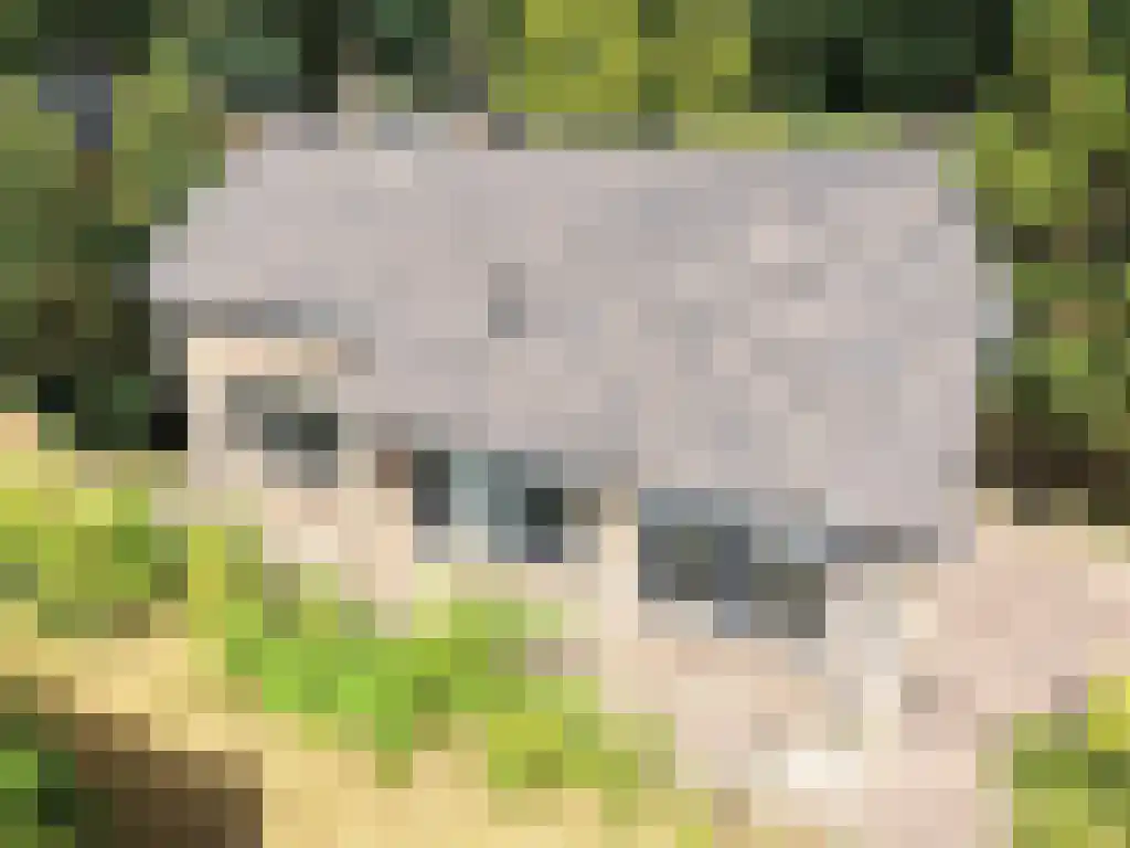 Dwarsweg 3 Overberg thumbnail 7