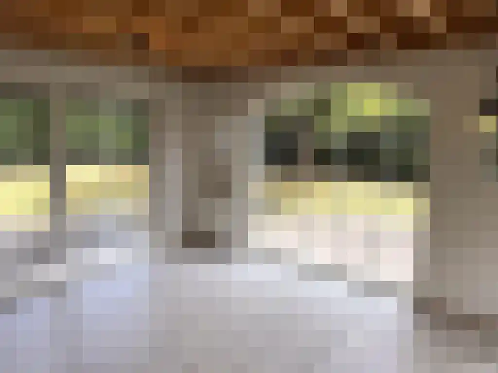 Dwarsweg 3 Overberg thumbnail 8