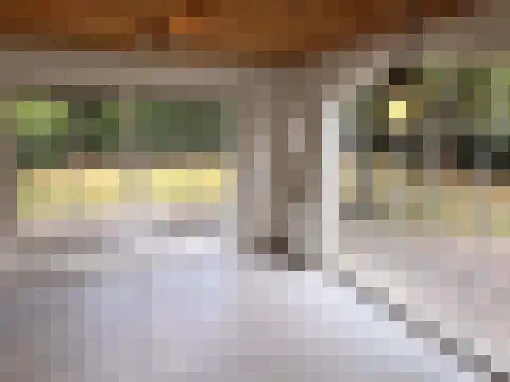 Dwarsweg 3 Overberg thumbnail 9