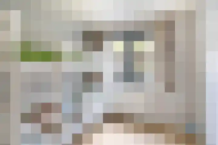 Dwarsweg 3 r 211 Overberg thumbnail 17