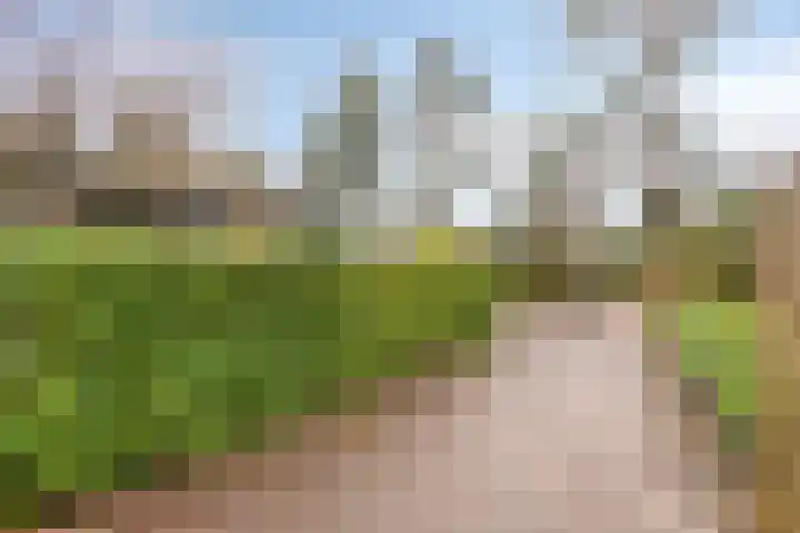 Dwarsweg 3 r 211 Overberg thumbnail 24