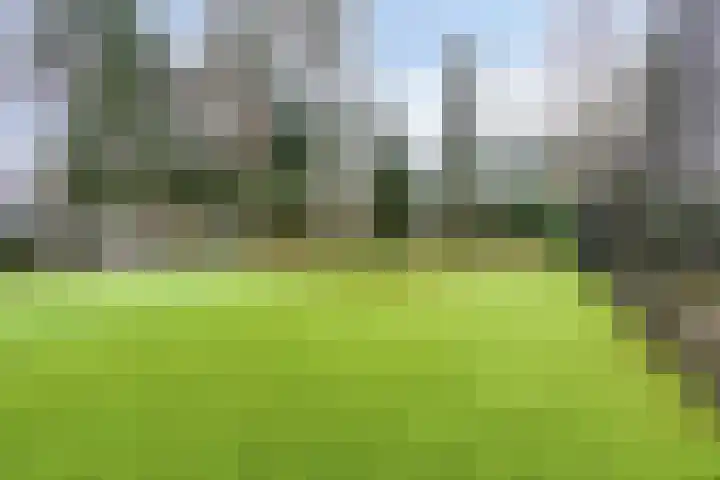 Dwarsweg 3 r 211 Overberg thumbnail 25