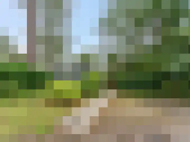 Dwarsweg 3 r 224 Overberg thumbnail 22