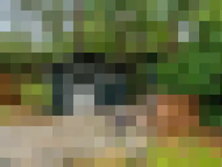 Dwarsweg 3 r 224 Overberg thumbnail 26