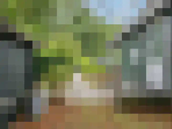 Dwarsweg 3 r 224 Overberg thumbnail 27