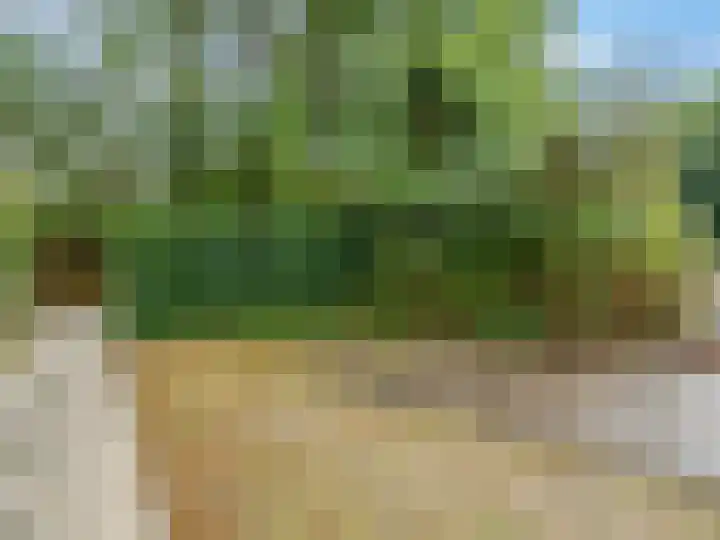 Dwarsweg 3 r 224 Overberg thumbnail 28