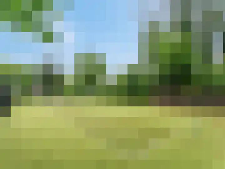Dwarsweg 3 r 224 Overberg thumbnail 29